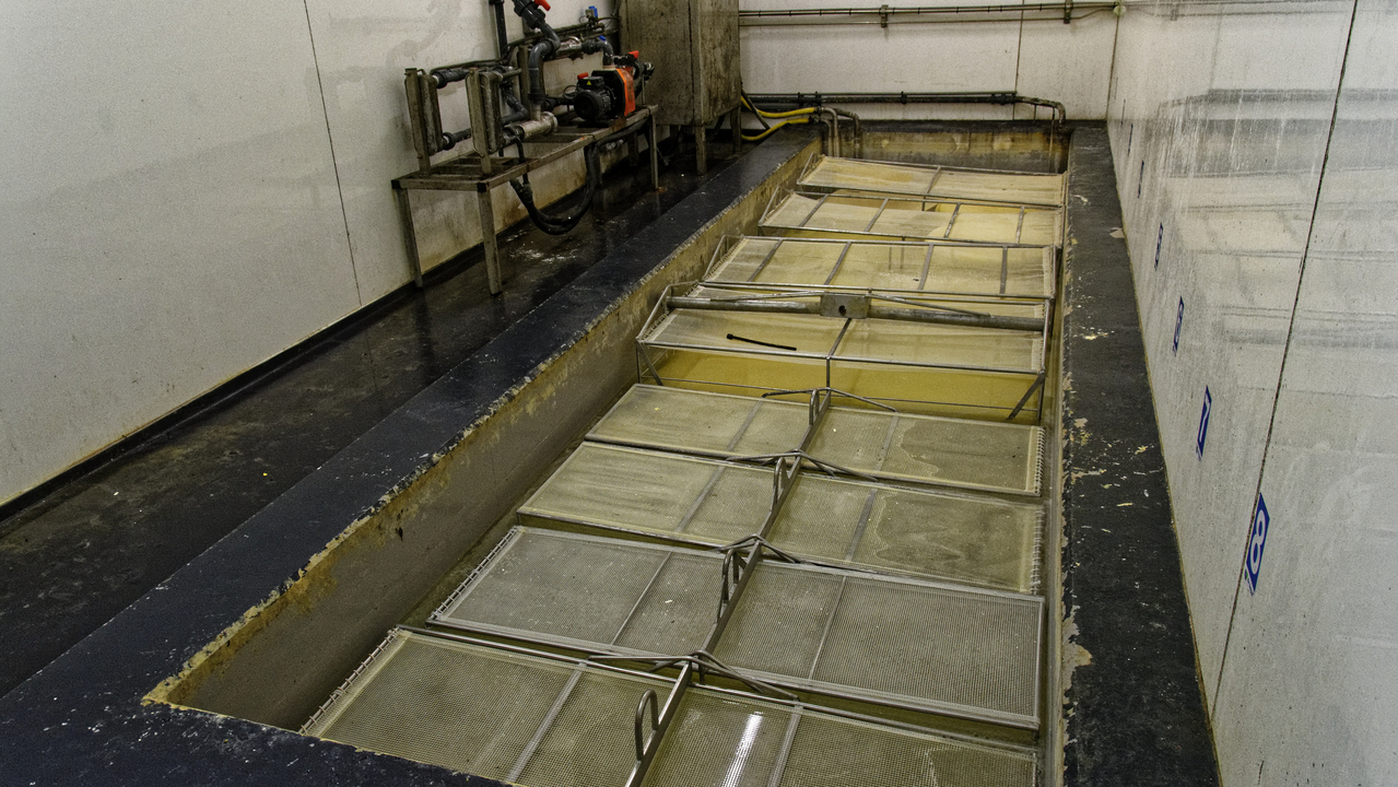 20151228 172907•Nieuw-Lekkerland•South Holland•Netherlands